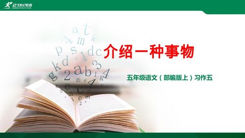 介绍一种事物作文100字左右