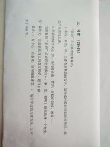 六年级小小说作文600字左右