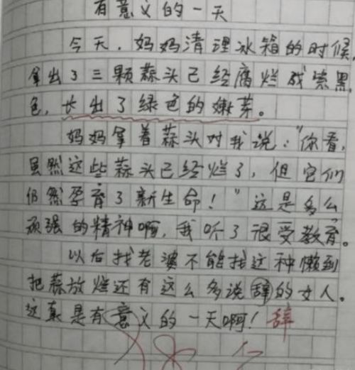 名字里的故事三年级作文怎么写