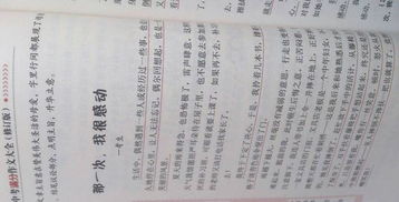 拼来的精彩作文800字记叙文