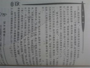 家人小传作文500字初二