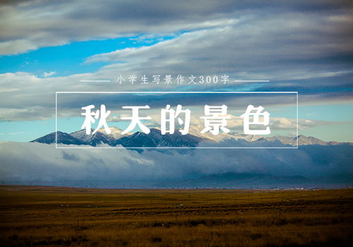 作文300字风景