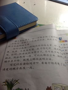 西瓜的资料作文说明文400字