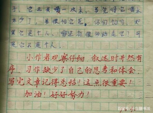 小学作文批改缺点评语