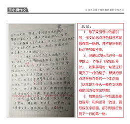 我变成了孙悟空作文