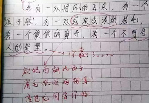 小学生作文炒菜200字