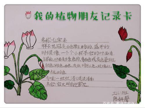 植物作文三年级300字