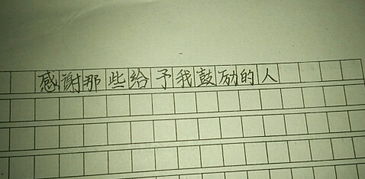 我最感激的人600字优秀作文