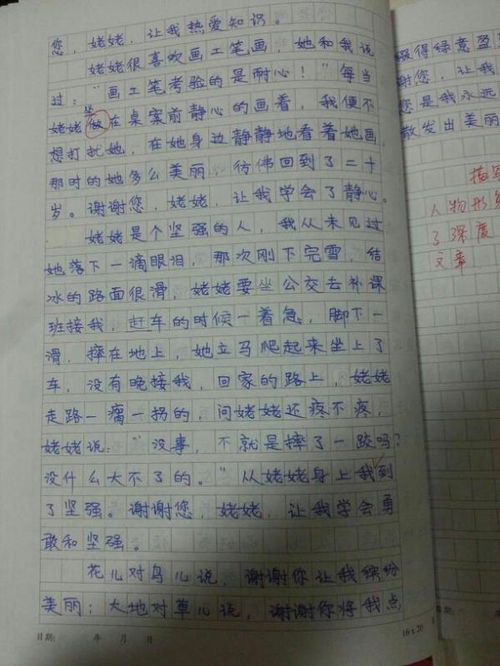 仙人掌作文500字