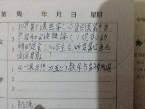 写动物的作文100字