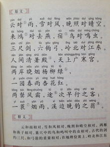 《选择》作文600字左右