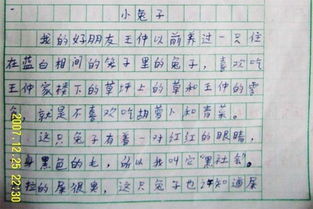 动物的作文500字