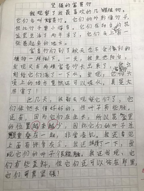 三年级写美丽的公园优秀作文300字