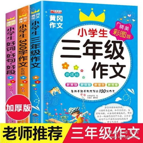 我的哥作文300字大全四年级