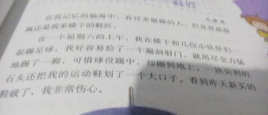 我的榜样500字作文