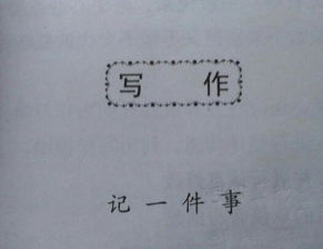 特别的初中生活作文600字