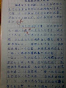 生活中的感动作文450字