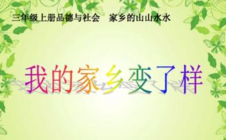 我的家乡800字作文大全