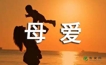 作文《母爱》300字