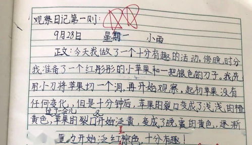 观察日记作文400字四年级