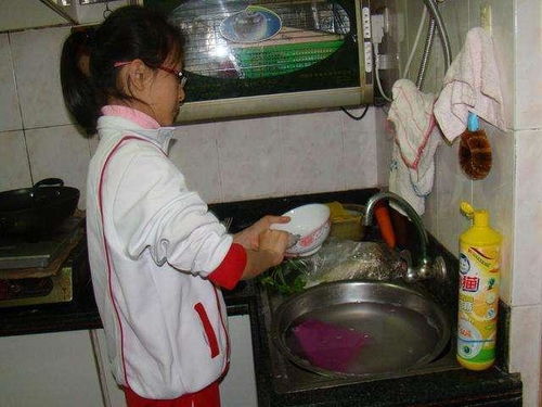 洗碗的过程作文