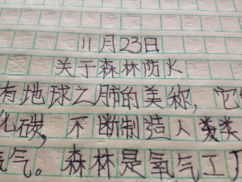 记一件事作文300字左右