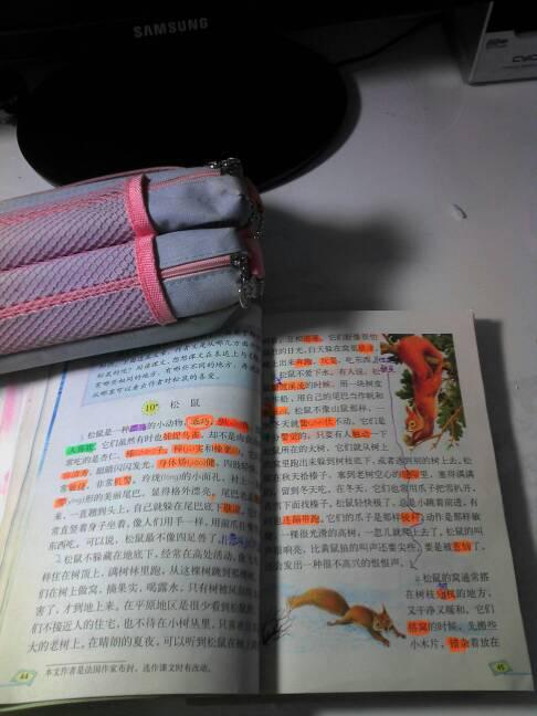 说明文作文600字动物