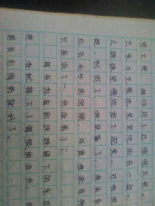 以寻字为中心写一篇作文