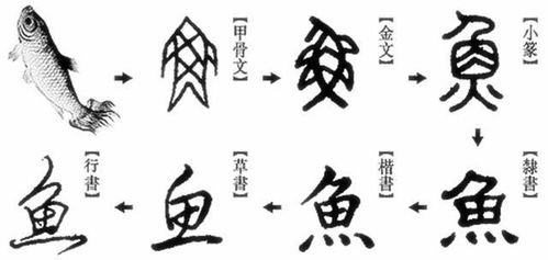 《___变了》作文400字