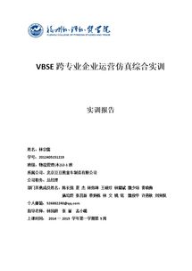 vbse实训心得体会