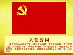 党章学习心得