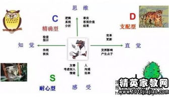 面试自我评价的优缺点