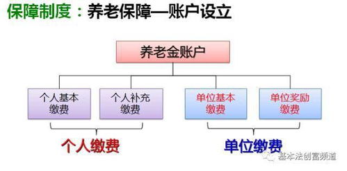 给老人养老的详细方案