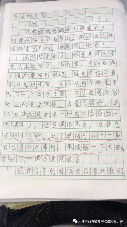 给爸爸的一封信20字二年级