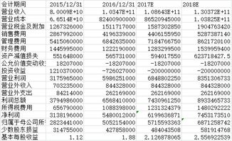 比亚迪2021近三年财务报表分析