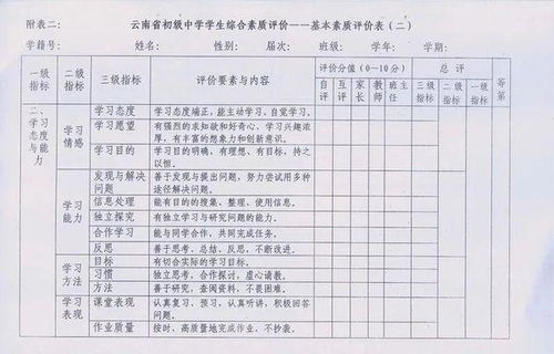 高一综合素质评价