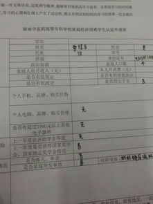 湖北省国家助学金申请表填写模板