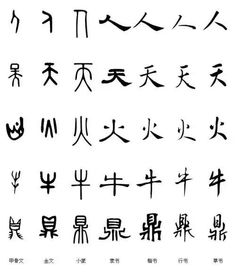 5个汉字的演变过程