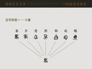 汉字的发展历程