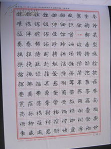 难写的常用字500个