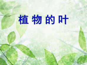 植物日记四年级上册