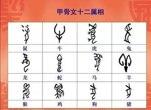 古代汉字的演变