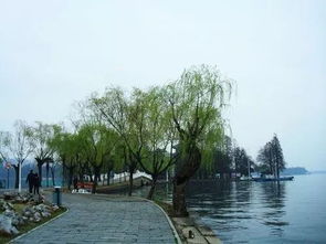 描写武汉东湖美景的段落