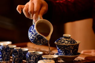 茶知识与茶文化