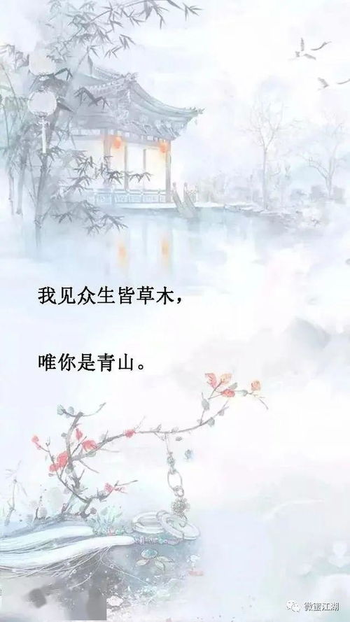 惊艳老师的神仙句子