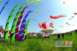 潍坊国际风筝节