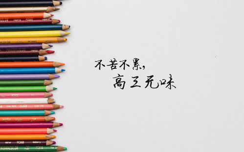 高三学生励志语录