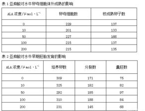 实验结果与分析万能模板