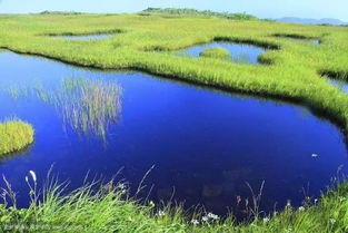 湿地生态保护论文