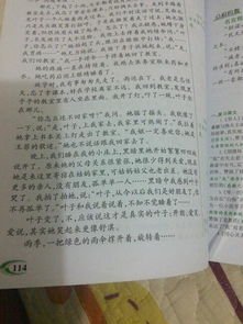 性教育观后感400字作文